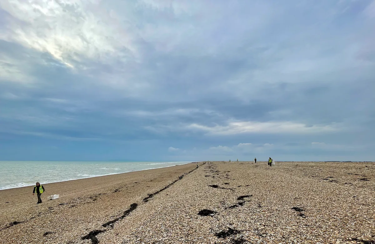 Dungeness -
